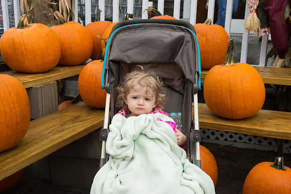 Nevaeh and Pumpkins