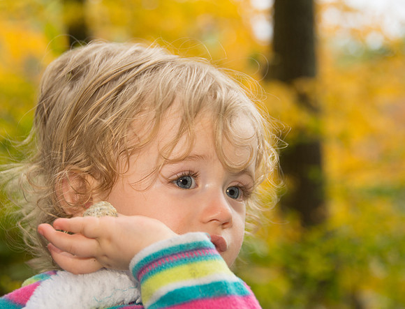 fall walk 4