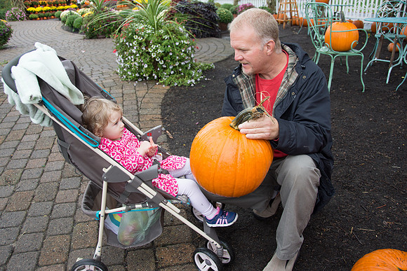 Pumpkin Picked!