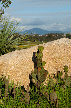 balboa Park60