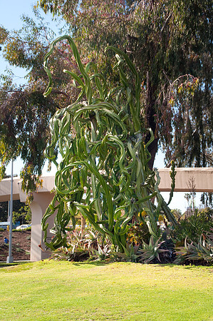 balboa Park44