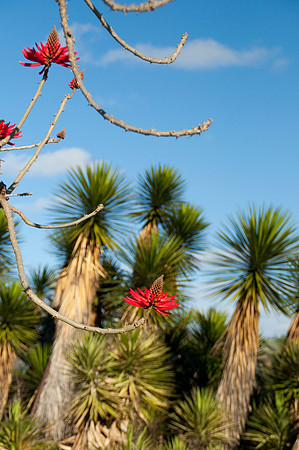 balboa Park61