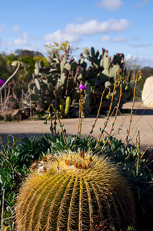 balboa Park55