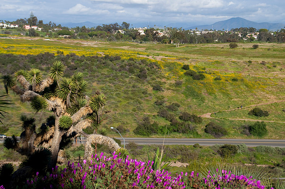 balboa Park52
