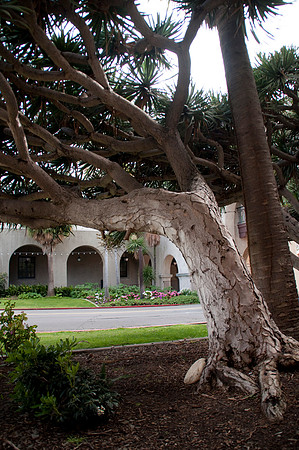 balboa Park19