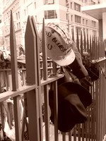 fenceatStPauls2.jpg