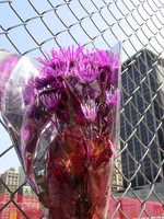 GiftofFlowers.jpg