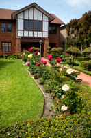 DownTown LaJolla Rose107