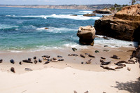 Childrens Beach110