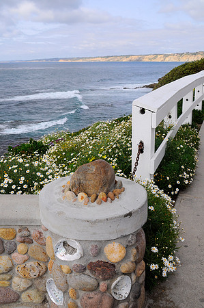LaJolla Shore28