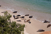 Childrens Beach113