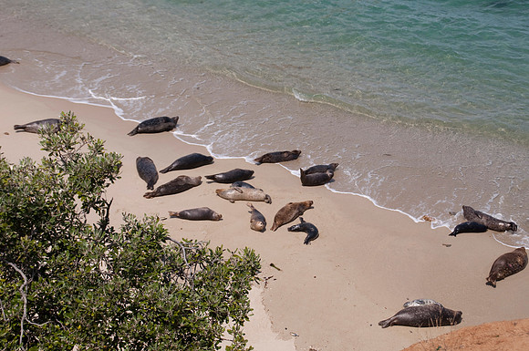 Childrens Beach113