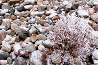 rockgardenatvisitorctr.JPG
