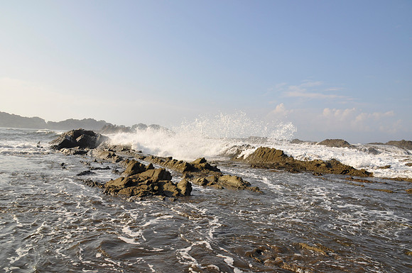_DSC0334.JPG