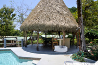 tiki hut.jpg