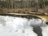 20180113093548_IMG_3477