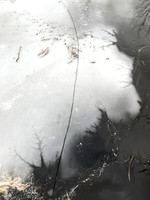 20180113093504_IMG_3475