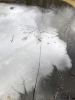20180113093816_IMG_3483