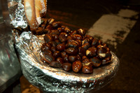 12.7.13 Chestnuts Roasting
