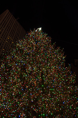 DSC_1894-2