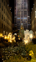 12.7.12 Angels R Ctr