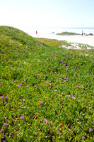 Silversands Beach160