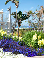 Silversands Beach163