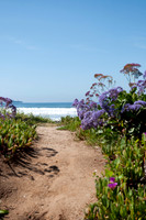 Silversands Beach161