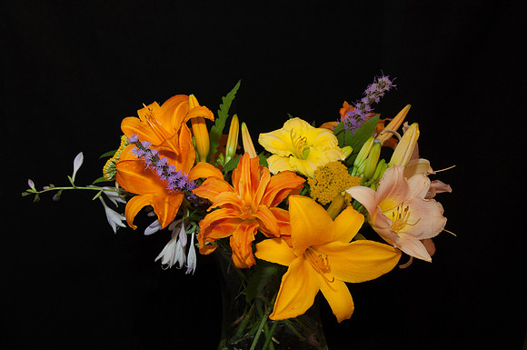 713 lilies1
