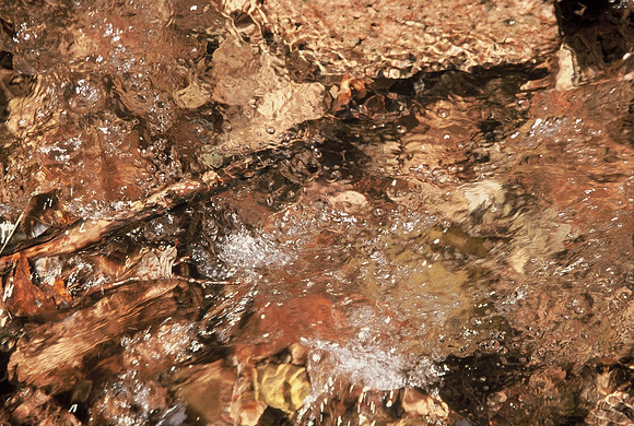 Colorado river.jpg