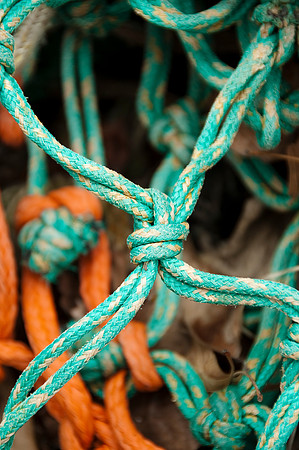 Green and Orange Rope4