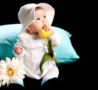 Maya_tulip Crop_0215