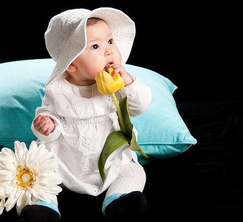 Maya_tulip Crop_0215