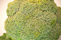 Veggie shots  Broccoli14