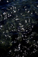 SPARKLY WATER.jpg