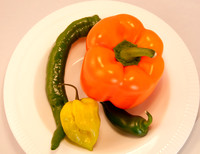 Veggie shots  Pepper plate21