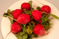 Veggie shots  radishes12