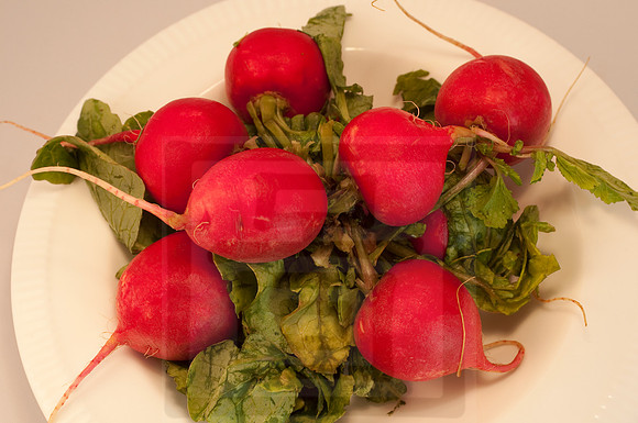 Veggie shots  radishes12