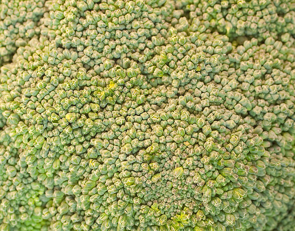 Veggie shots  Broccoli crop15