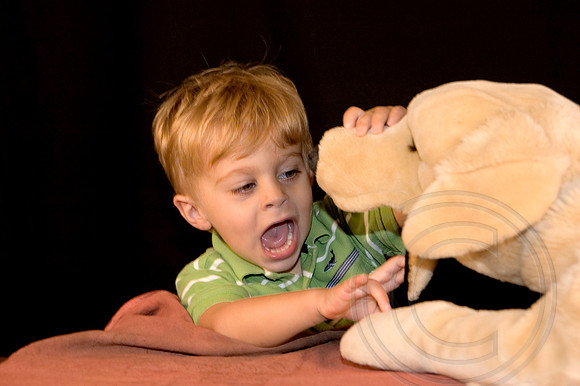 ThomasonplaysDogDentist_edited-1.JPG