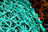 Green ropes and chains8