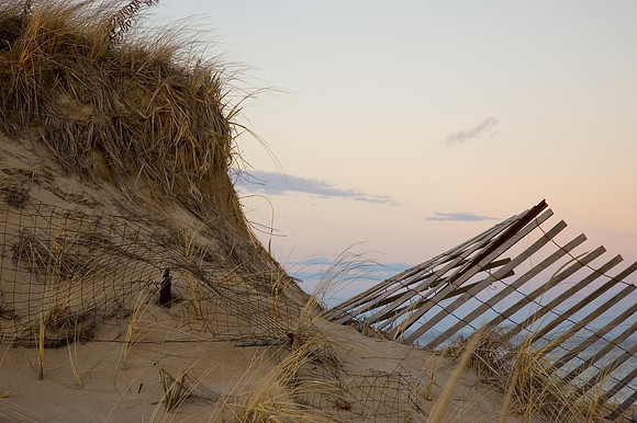 SnowfenceinDunes3.JPG