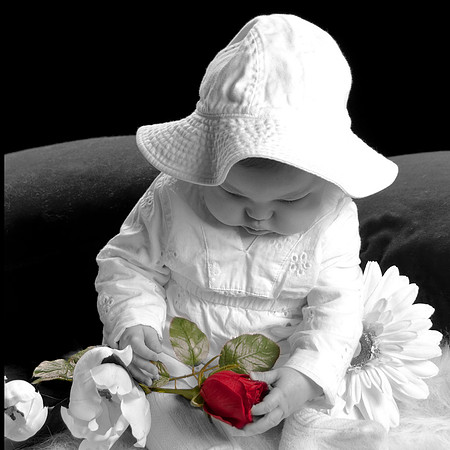maya 3x3 BWred rose