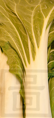 Veggie shots Bok Choy2