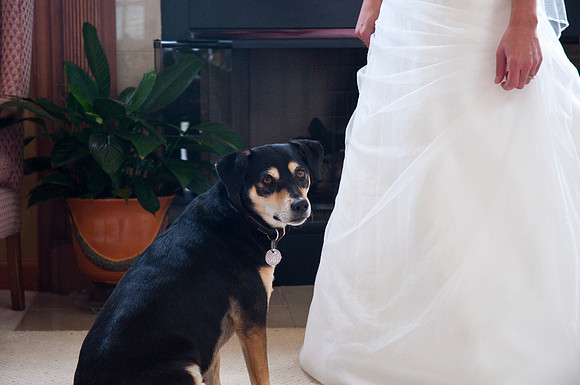 preceremony20.JPG