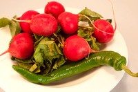 Veggie shots  Radishes9