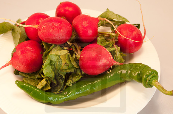 Veggie shots  Radishes9