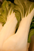 Veggie shots  Bok Choy7