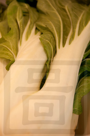Veggie shots  Bok Choy7