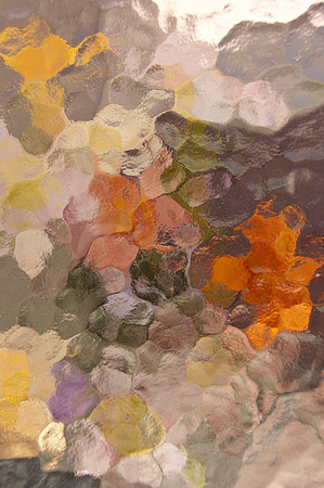 flower reflections9